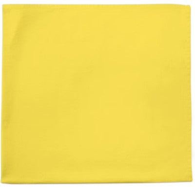 Mata Vidya Sarswati Auspicious Puja on Vasant Panchami Book, Maa Saraswati Vrat Katha ( माँ सरस्वती व्रत कथा ) Saraswati Pooja Paddhati | Bhasha Tika Sahit By janta Press Ka New Year Offer Gift 1 Yellow Soft Pure Cotton Hanky Free