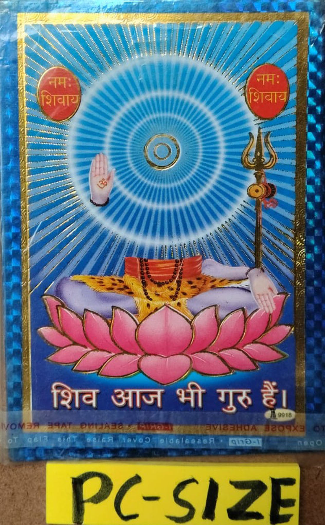 Shiv Charcha Bhajanawali Kahani Bhajan Chalisa Evam Arti Sahit With Free Shiv Aaj Bhi Guru HOm Shanti Photo PC Size