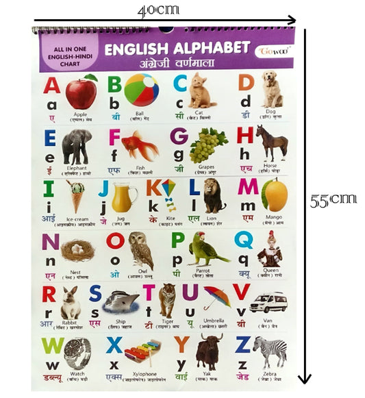 Gowoo All in One English-Hindi Chart 40X55cm Coloured and Plastic Coated Pages Wall Calendar for Kids