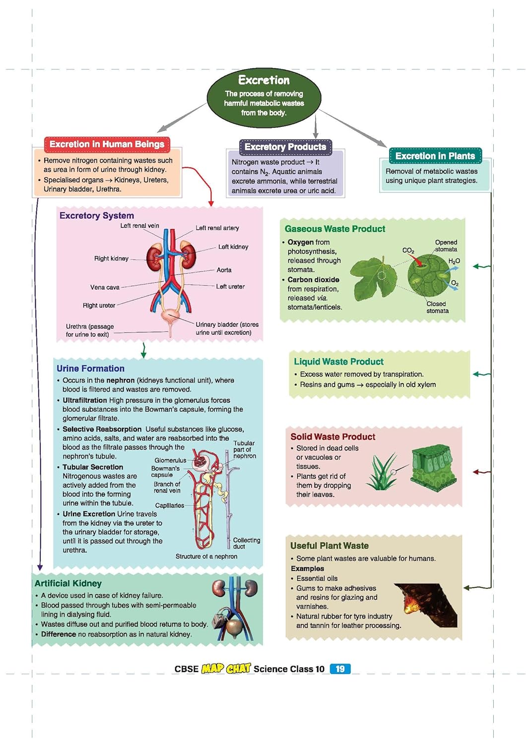 Arihant CBSE Map Chat Class 10 Science Maths Social Science English Language and Literature