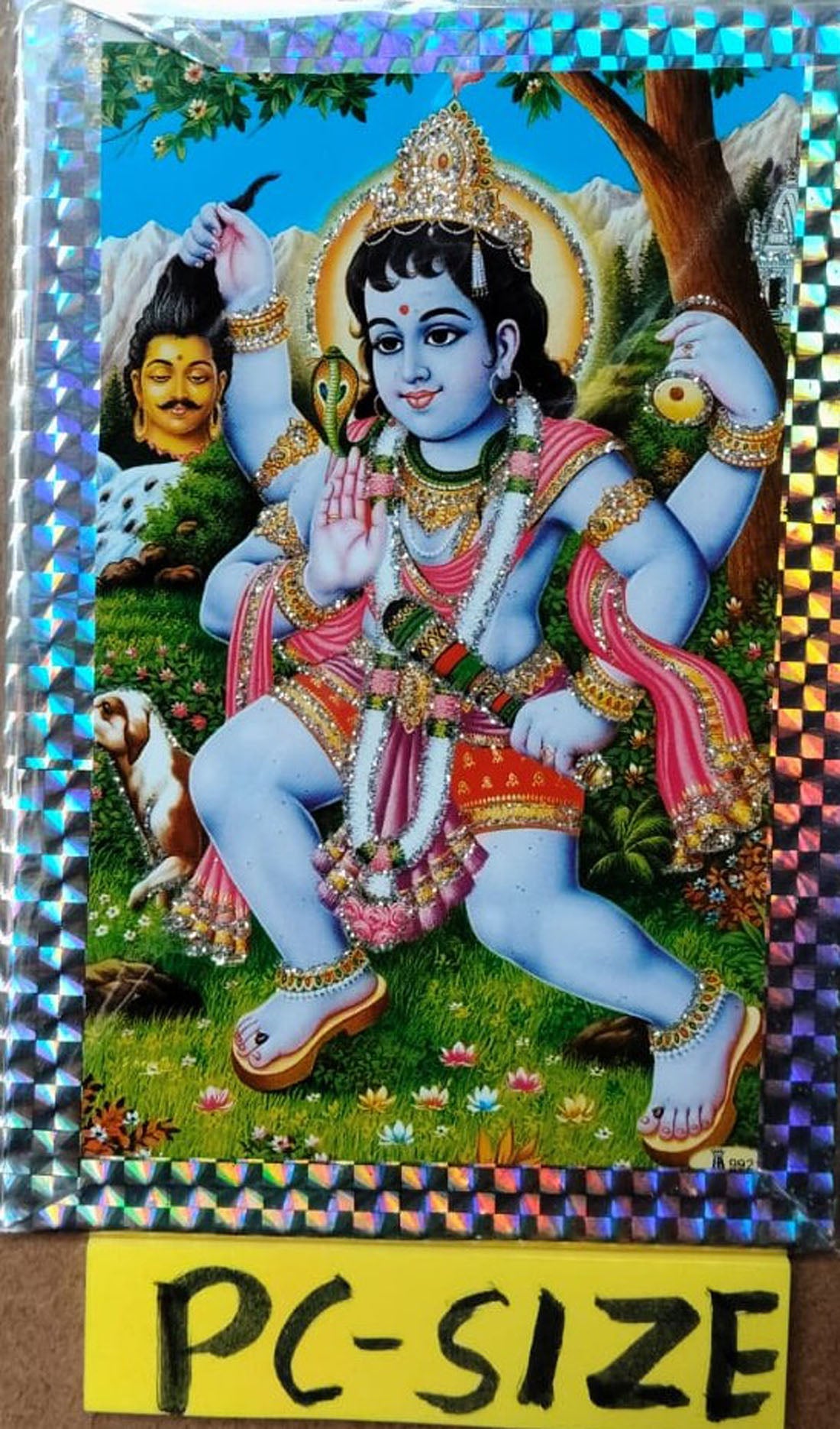 Bhairav Dev Vrat Katha Book In Hindi By Sumit Publications With Free Bhairav Dev  Photo PC Size