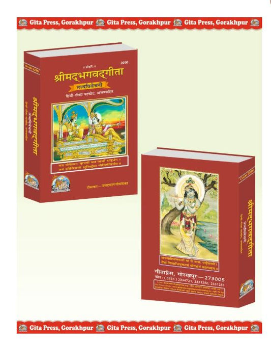 Gita Tattva Vivechani Language 
