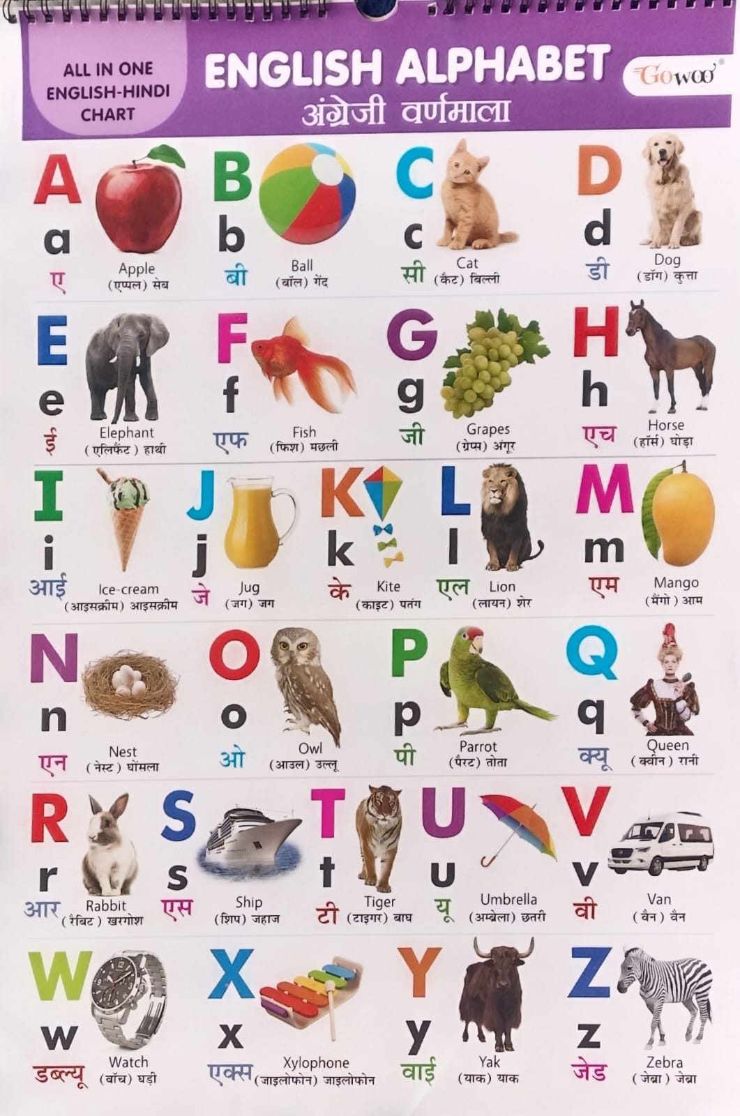 Gowoo All in One English-Hindi Chart 40X55cm Coloured and Plastic Coated Pages Wall Calendar for Kids