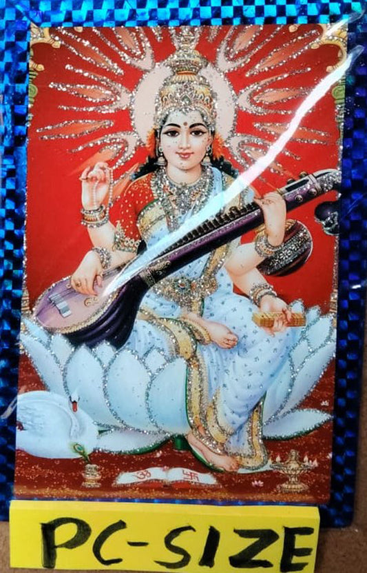 Mata Vidya Sarswati Auspicious Puja on VasantPanchami Book, Maa Saraswati Vrat Katha ( माँ सरस्वती व्रत कथा ) Saraswati Pooja Paddhati | Bhasha Tika Sahit By janta Press Ka New Year Offer Gift Photo PC Siz 1Pis Free