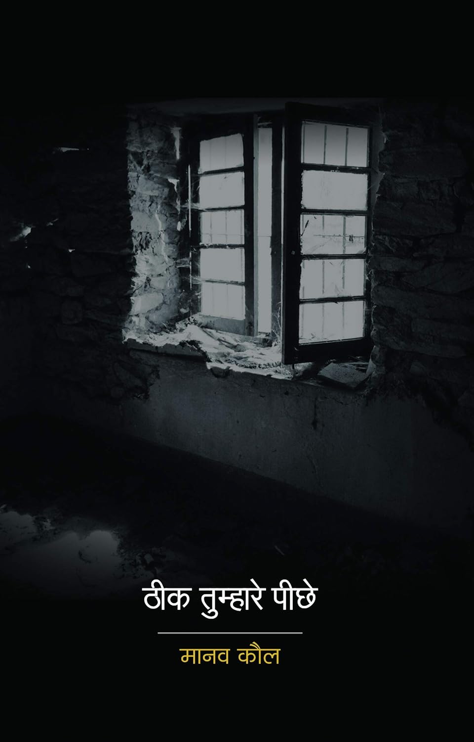 Theek Tumhare Peechhe Hindi by Manav Kaul 