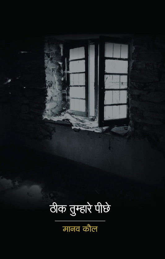 Theek Tumhare Peechhe Hindi by Manav Kaul 
