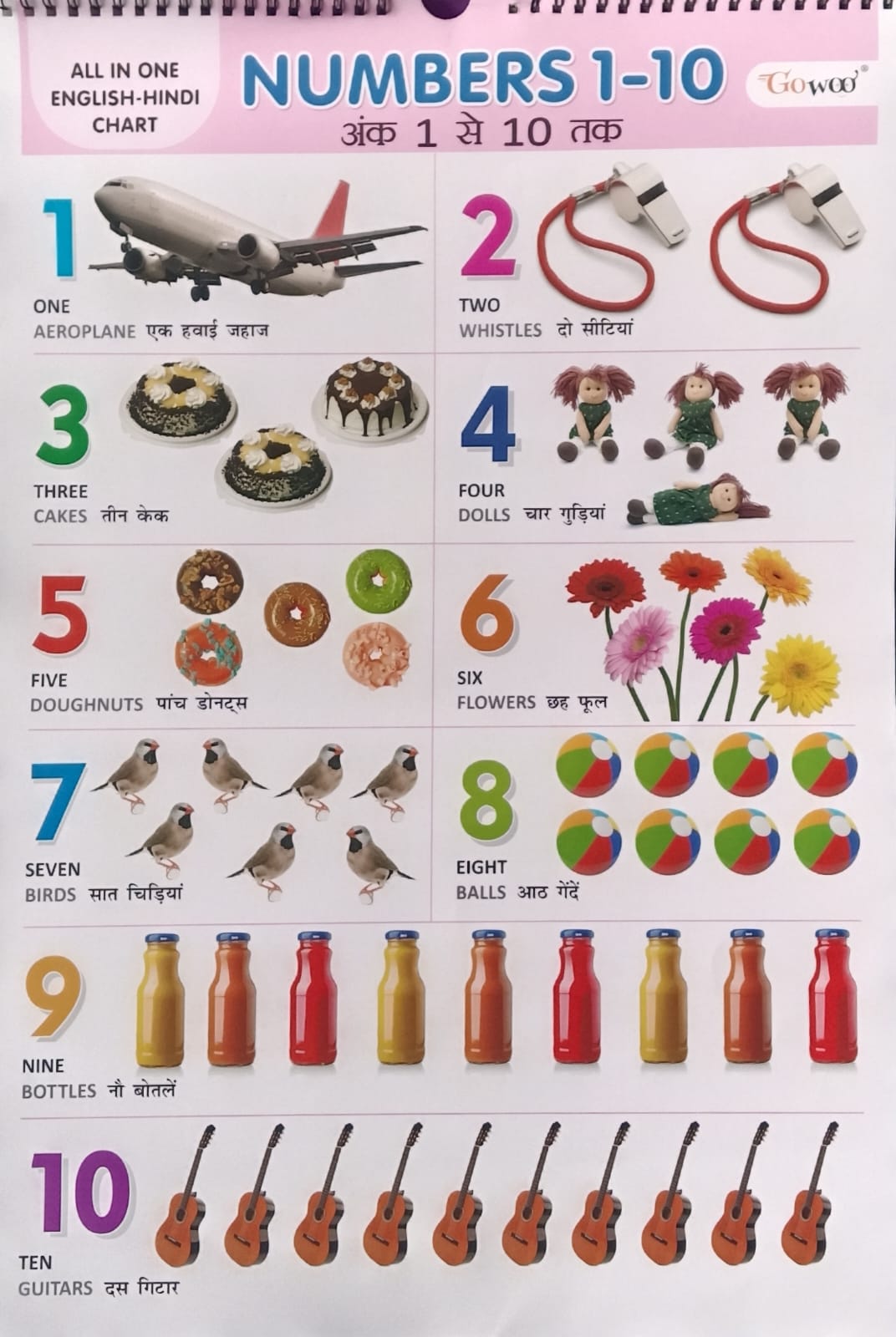 Gowoo All in One English-Hindi Chart 40X55cm Coloured and Plastic Coated Pages Wall Calendar for Kids