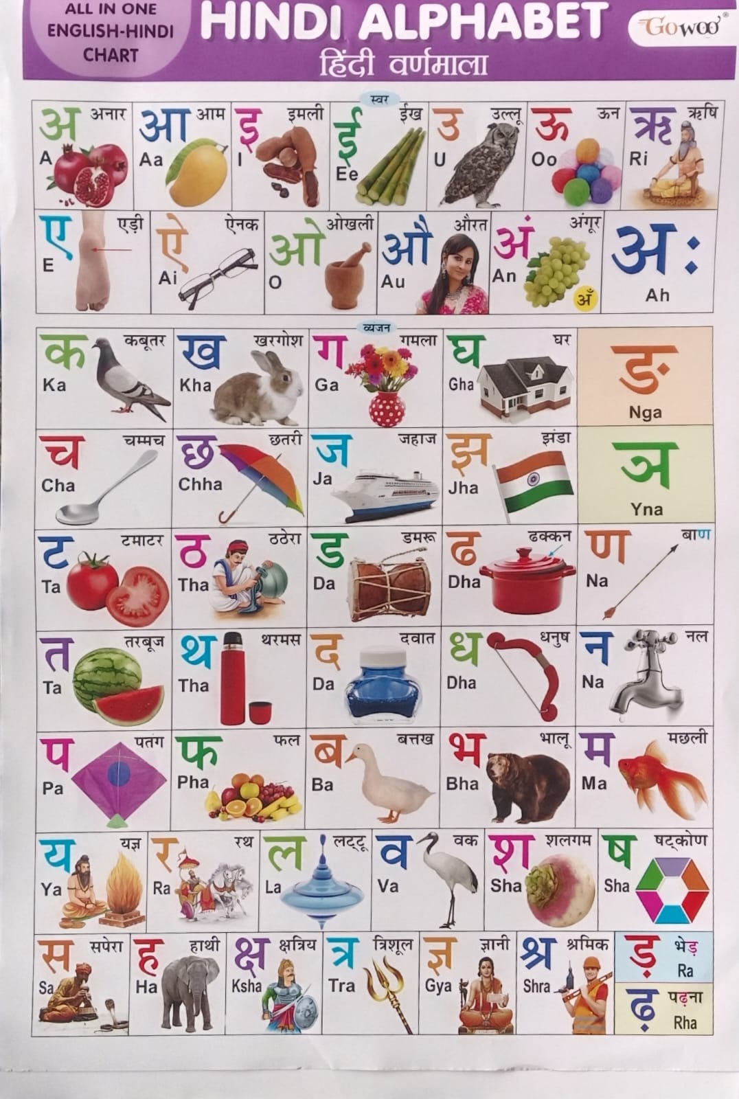 Gowoo All in One English-Hindi Chart 40X55cm Coloured and Plastic Coated Pages Wall Calendar for Kids
