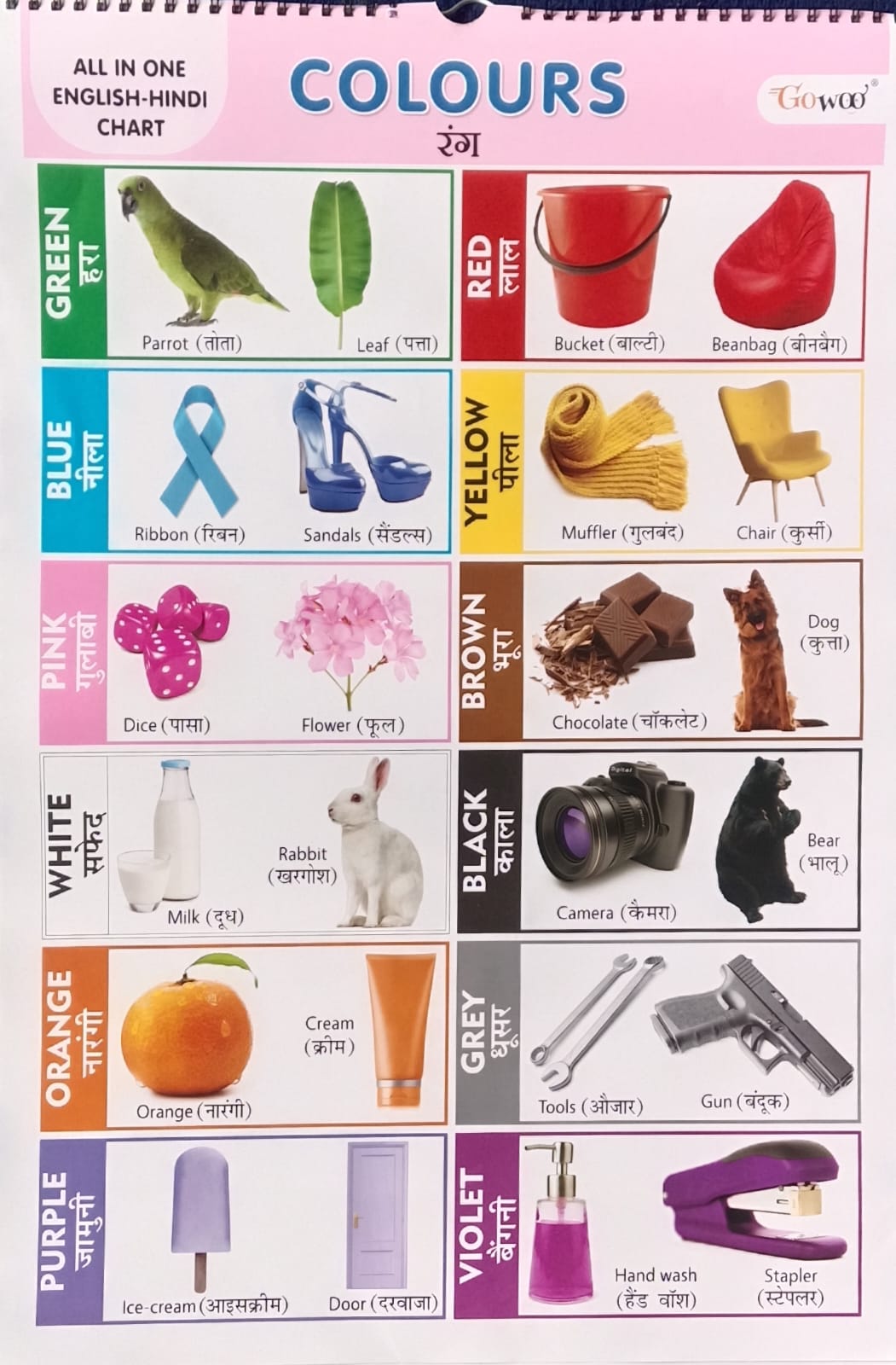 Gowoo All in One English-Hindi Chart 40X55cm Coloured and Plastic Coated Pages Wall Calendar for Kids