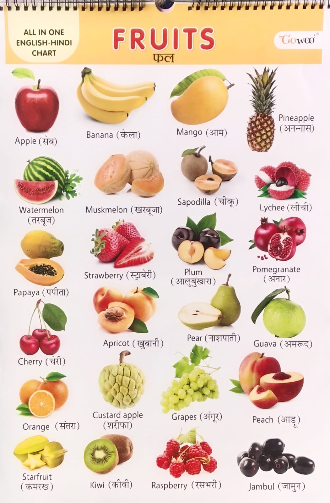 Gowoo All in One English-Hindi Chart 40X55cm Coloured and Plastic Coated Pages Wall Calendar for Kids