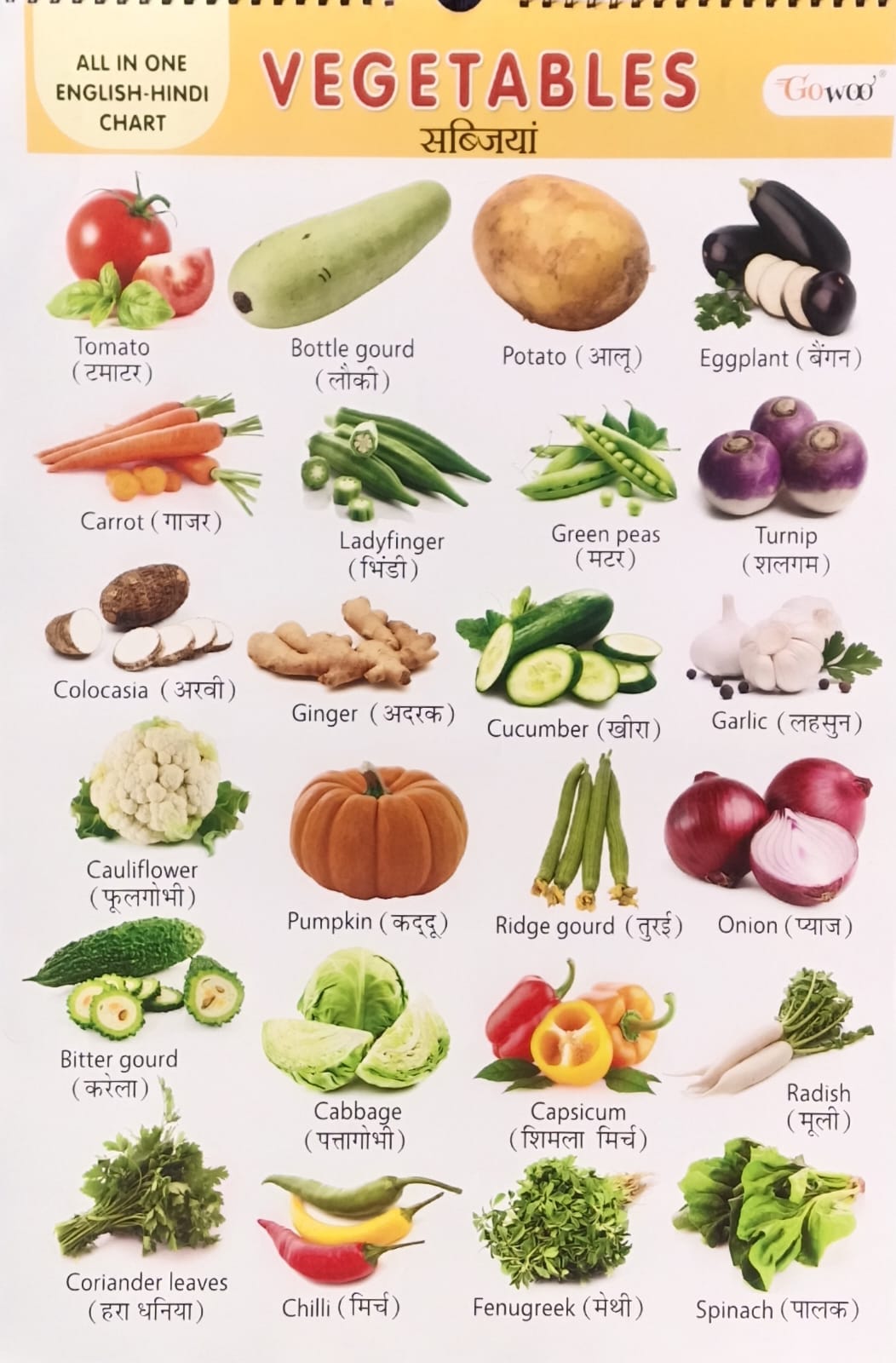 Gowoo All in One English-Hindi Chart 40X55cm Coloured and Plastic Coated Pages Wall Calendar for Kids