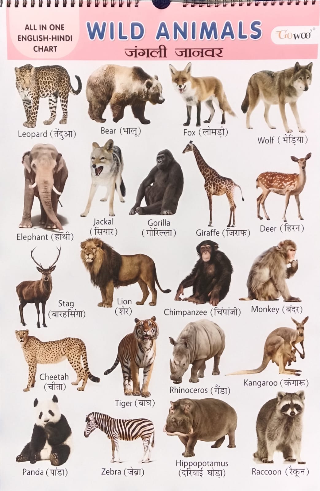 Gowoo All in One English-Hindi Chart 40X55cm Coloured and Plastic Coated Pages Wall Calendar for Kids