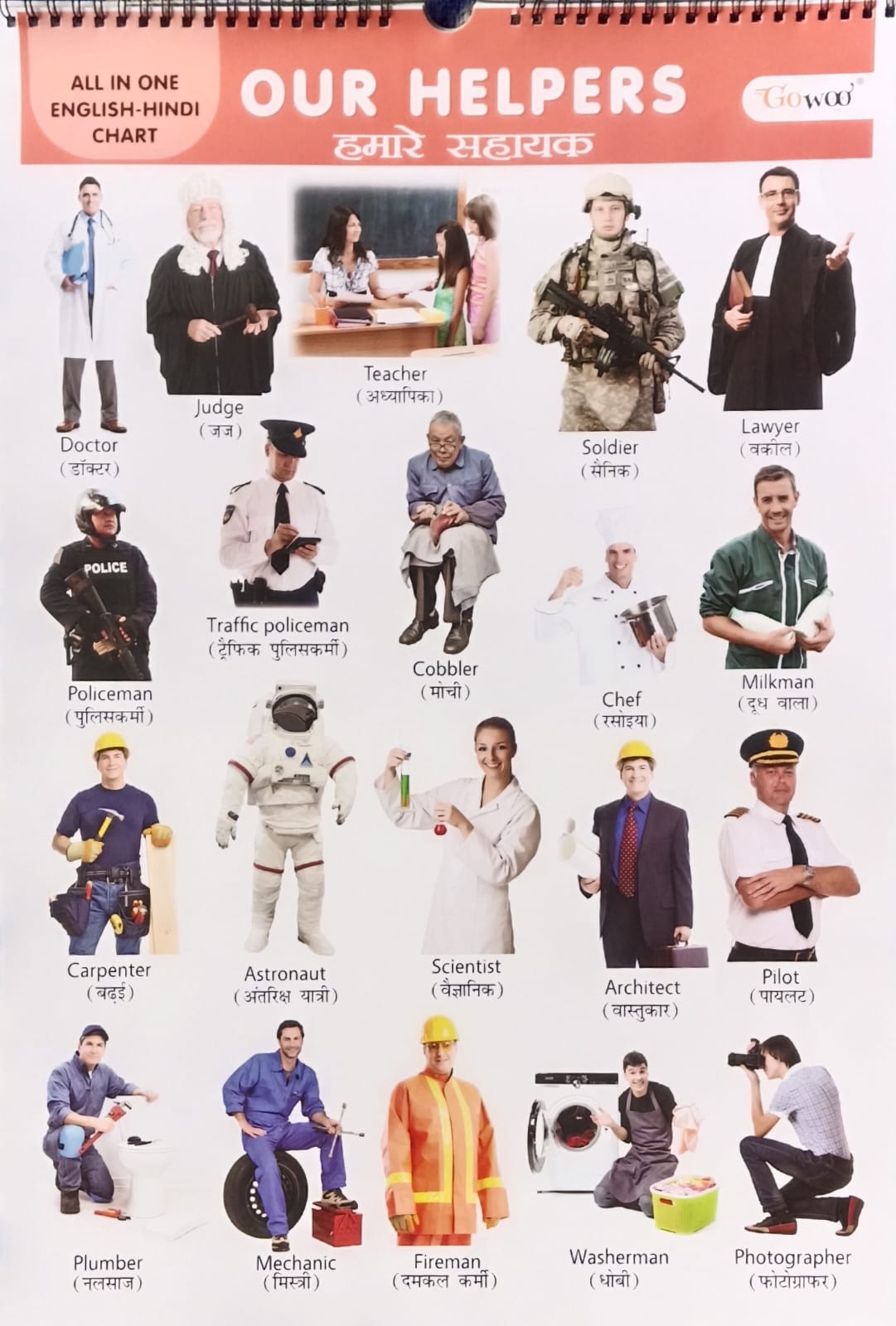 Gowoo All in One English-Hindi Chart 40X55cm Coloured and Plastic Coated Pages Wall Calendar for Kids