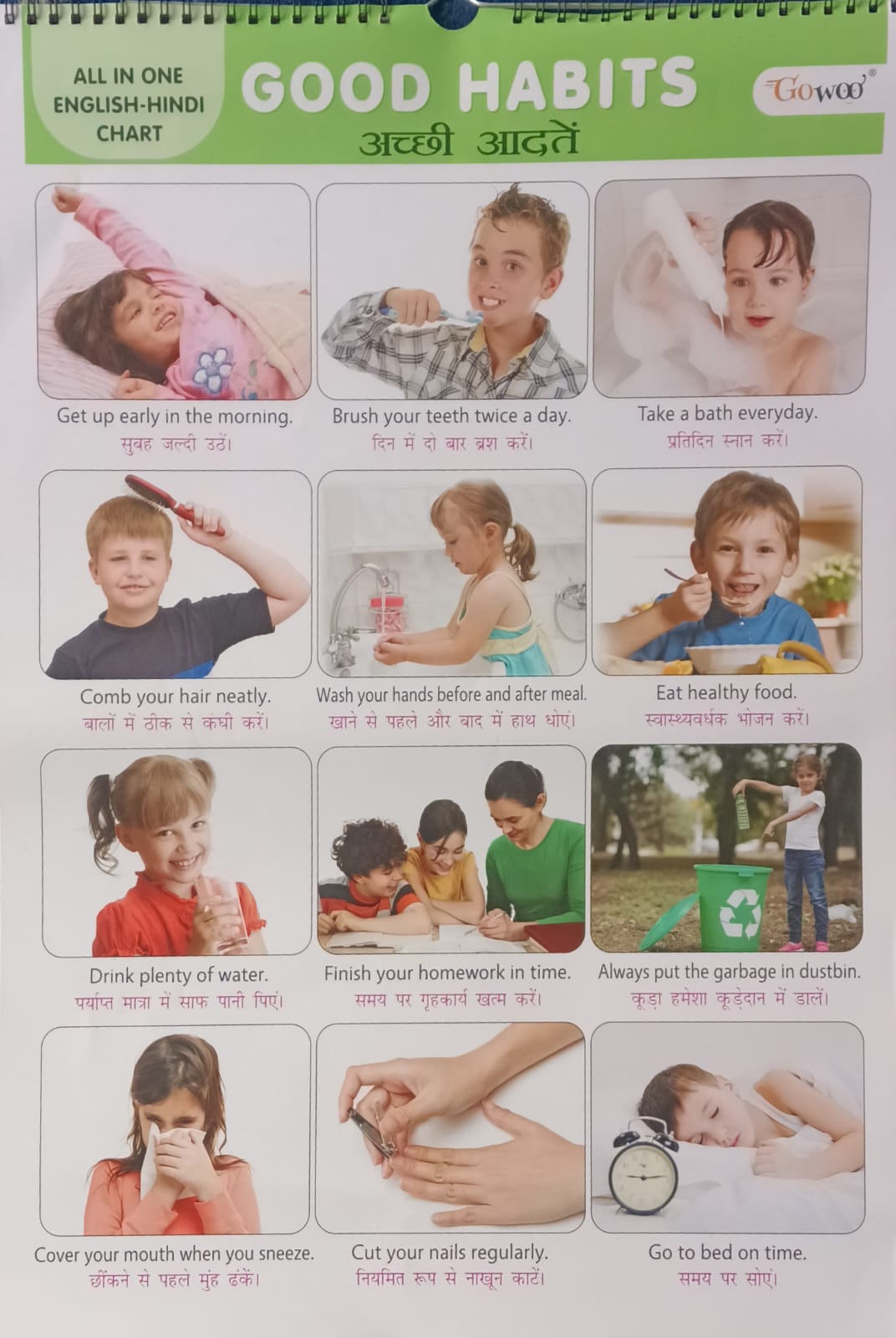 Gowoo All in One English-Hindi Chart 40X55cm Coloured and Plastic Coated Pages Wall Calendar for Kids