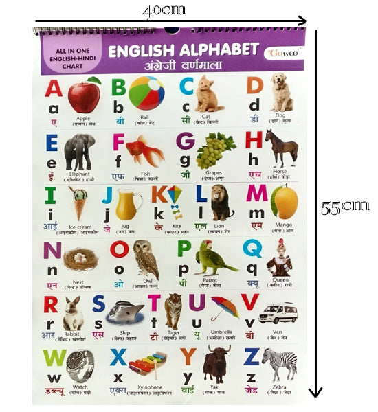 Gowoo All in One English-Hindi Chart 40X55cm Coloured and Plastic Coated Pages Wall Calendar for Kids